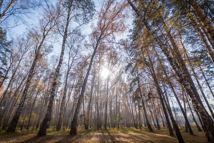 © Фото VN.ru.📷
