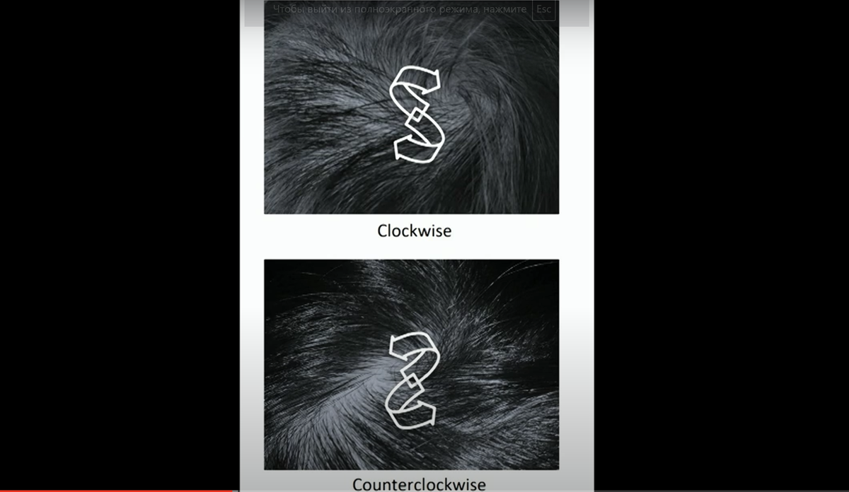 Предмет исследования