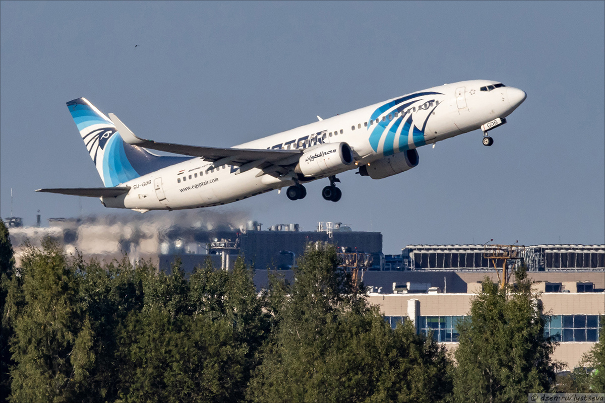 Курс на Каир!