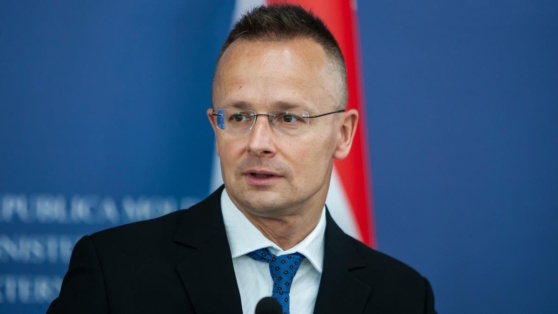    Сийярто заявил, что вся Европа торгует с Россией, но только Венгрия не скрывает этого Егор Гордеев