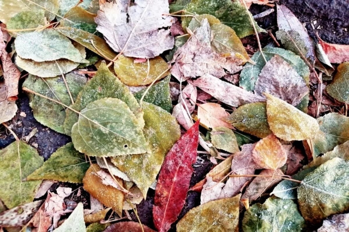    В Башкирии прогнозируют заморозки до -5°