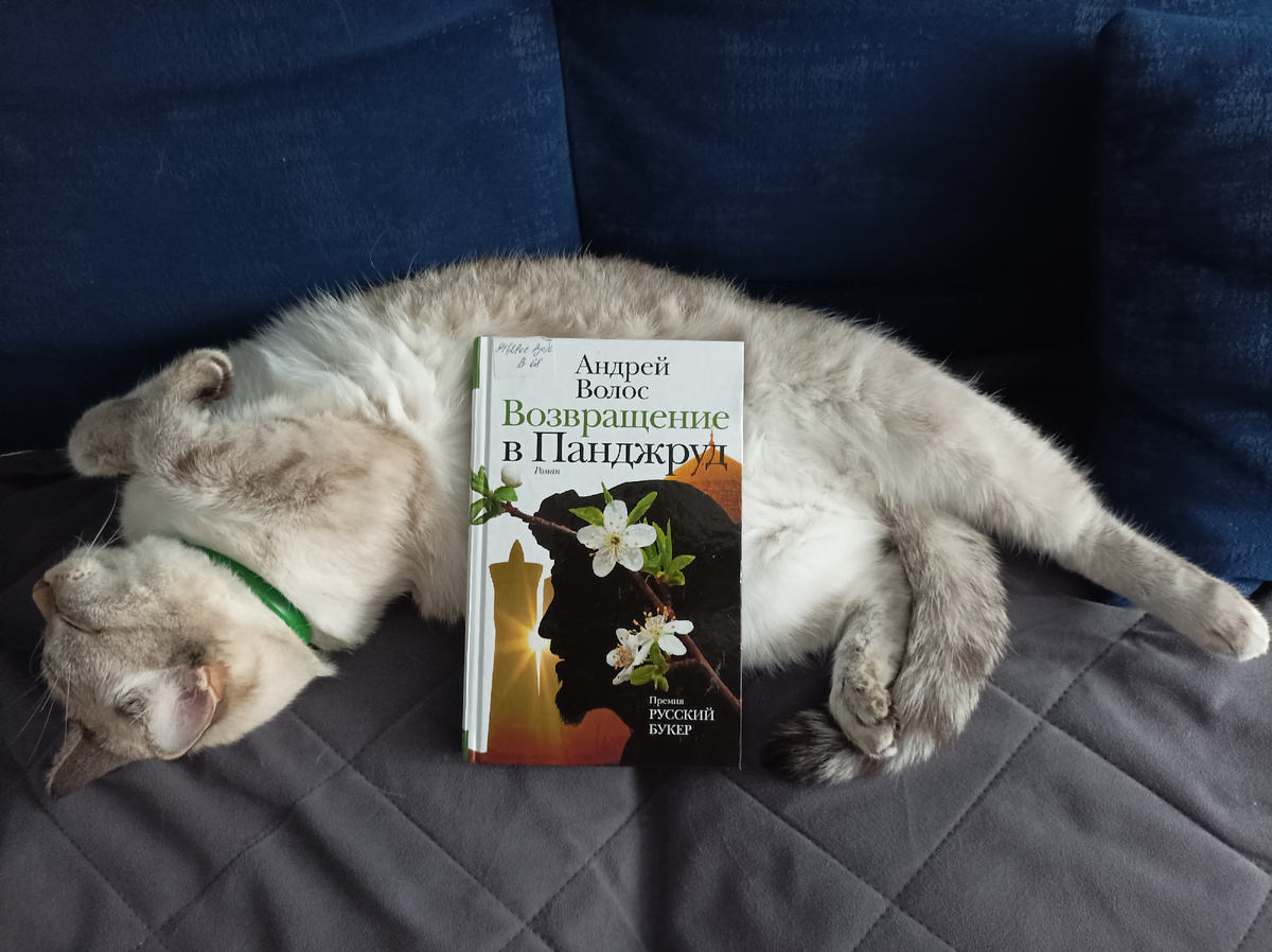 Сегодня читаемую книгу из городской библиотеки взялась представлять Дженя. 