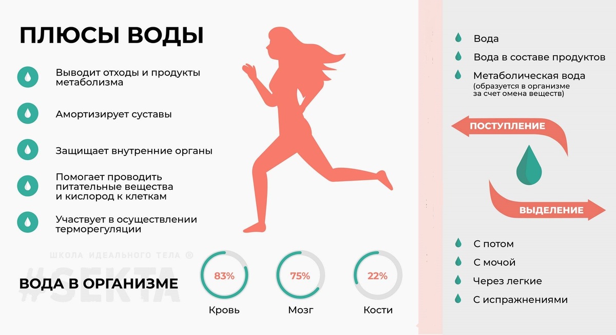 Источник: sektascience.com/2015/04/vodnyj-balans-celoveka/