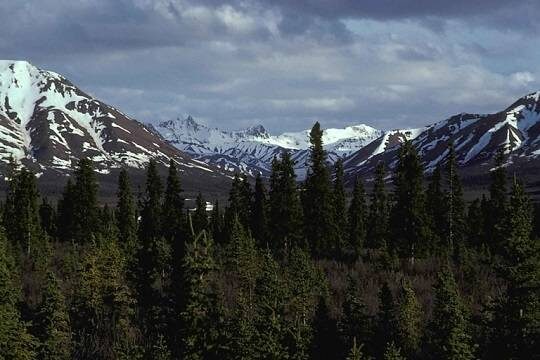    Politico узнала о переброске США дополнительных сил на Аляску из-за РФ и КНР