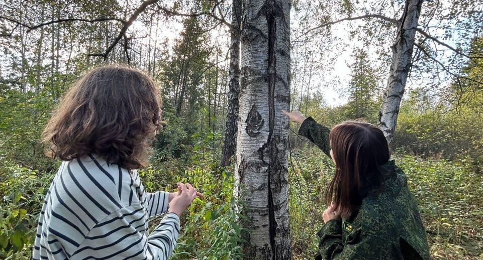    Пресс-служба администрации городского округа Чехов