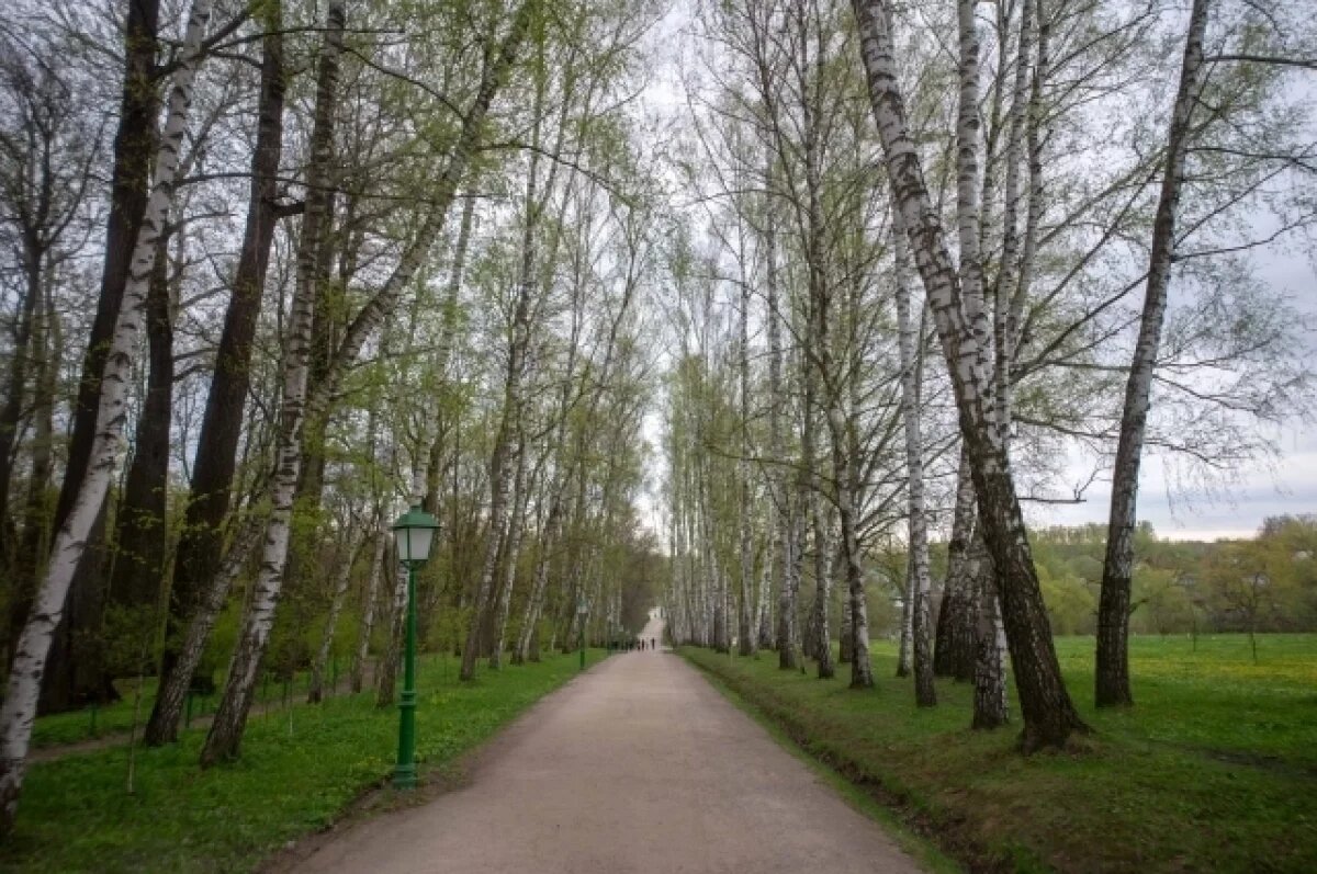    В Туле летняя погода в воскресенье сменится осенней