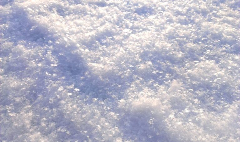    Фото: Pixabay /иartbaggage Софья Чулкова