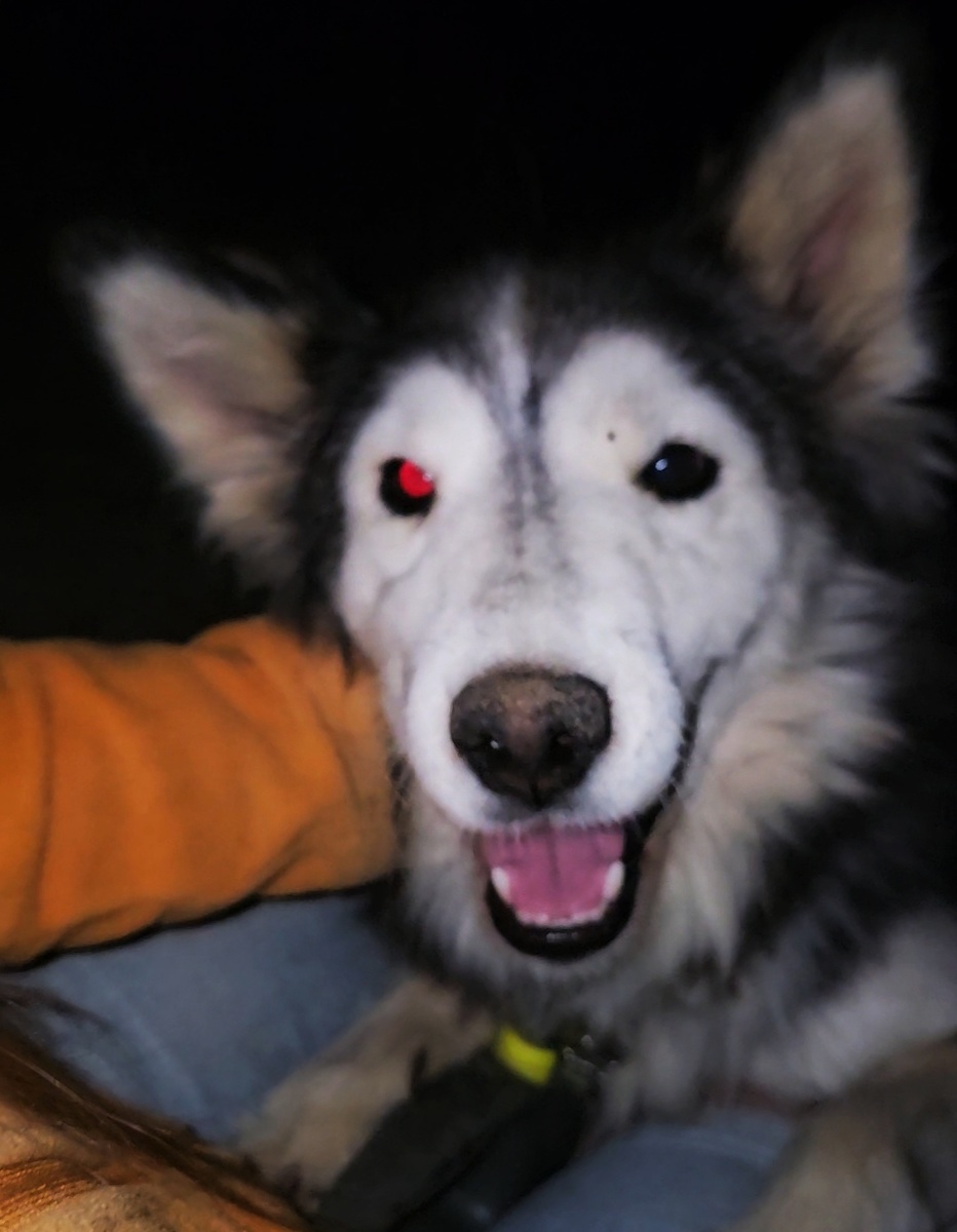 Скрин из того самого видео