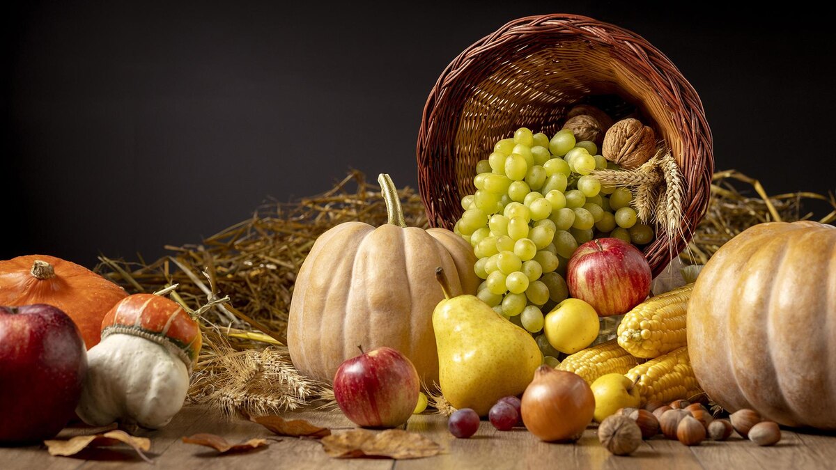 Фото: freepik.com