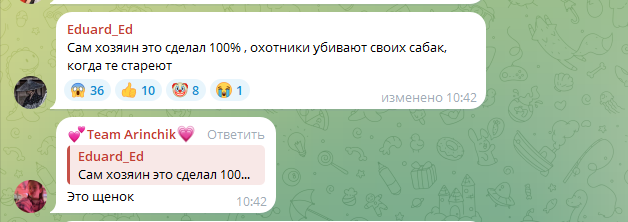 Мнение №1: хозяин сам сделал это. Т.к. животное является собственностью хозяина, то все законно, хлопаем в ладоши, проходим мимо.