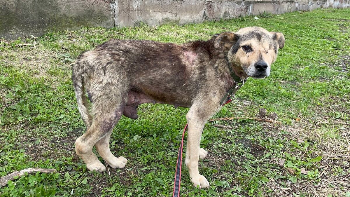 Пережил предательство, ДТП, а теперь страдает из-за опухоли... 