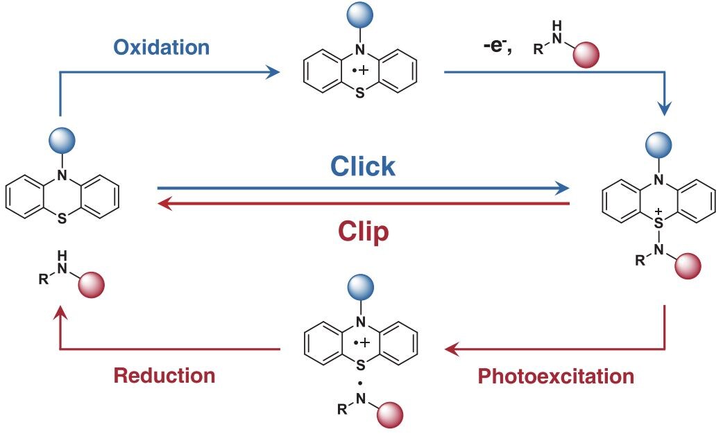   Jiantao Zhao et al. / Science, 2024