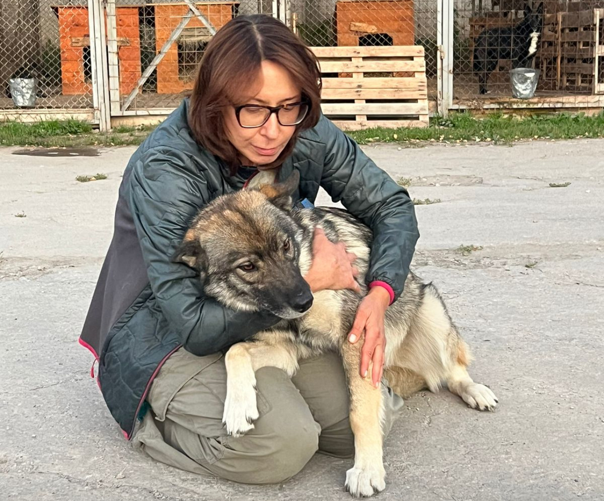 Марта такая нежная, так мало в детстве ей досталось радости. Сидела на цепи в будке. Да и там не пригодилась. 