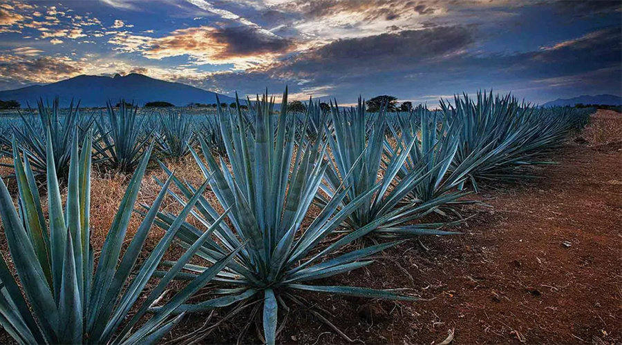 Фото с archdaily.com