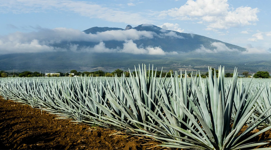 Фото с popularmechanics.com