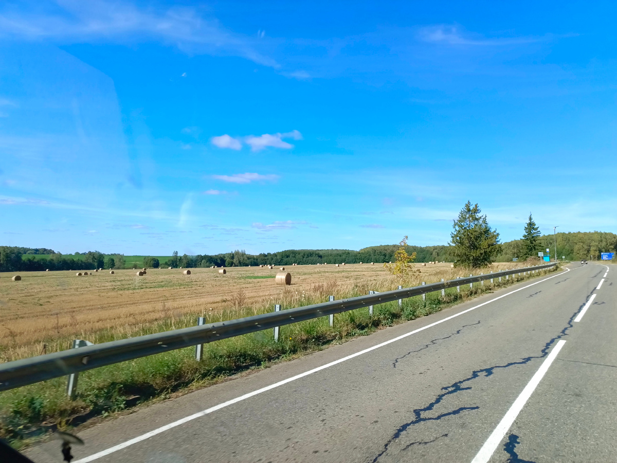 Фото автора из окна автобуса. 