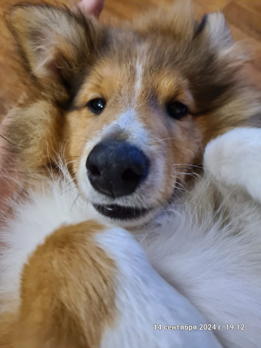 Это я, Томми Шелби. Тут мне 3,5 месяца.