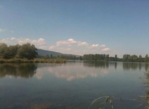    Фото: Минприроды РСО-А