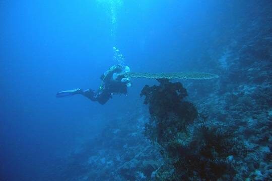    В МЧС анонсировали обследование затопленной в Карском море атомной подлодки