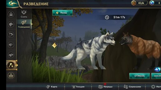 wolf tales-wild animal sim