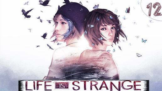 Меняющая реальность. ИГРОФИЛЬМ - Life is Strange / Эта странная жизнь. ➦ Прохождение игры #12