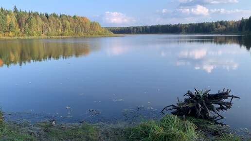 Классная Рыбалка на Деликатесную Рыбку.Расчехлил Удочку и понеслось.