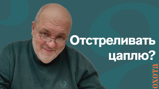 Отстрел цапель. Валерий Кузенков об отстреле цапель в Беларуси.