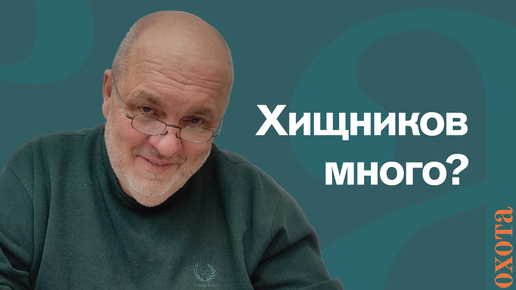 Хищников много? Валерий Кузенков об отстреле хищных птиц.