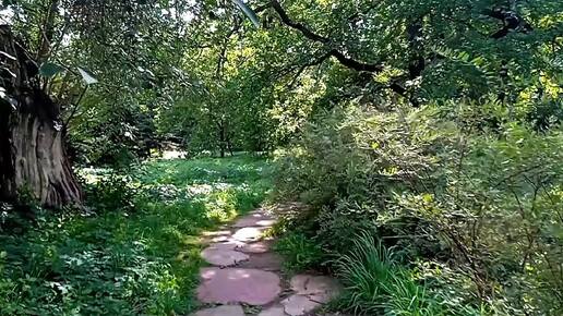 Аптекарский огород, усадьба Трубецких🌿🪻🌳Экологическая тропа, особо охраняемая территория со множеством интересных и редких растений.🌻🏵