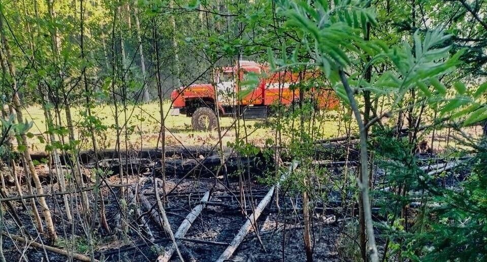    Комитет лесного хозяйства МО