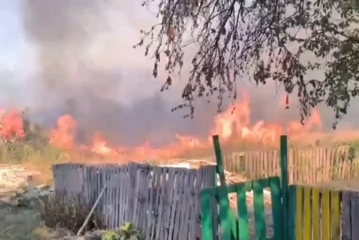    В середине сентября огонь несколько раз подбирался к жилым дачам в Ставрополе.