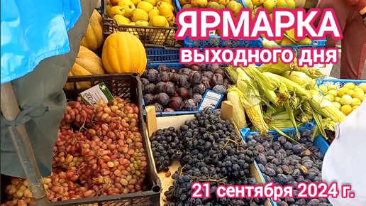 Краснодар - Ярмарка выходного дня на ул. Одесской - цены на продукты - 21 сентября 2024 г.