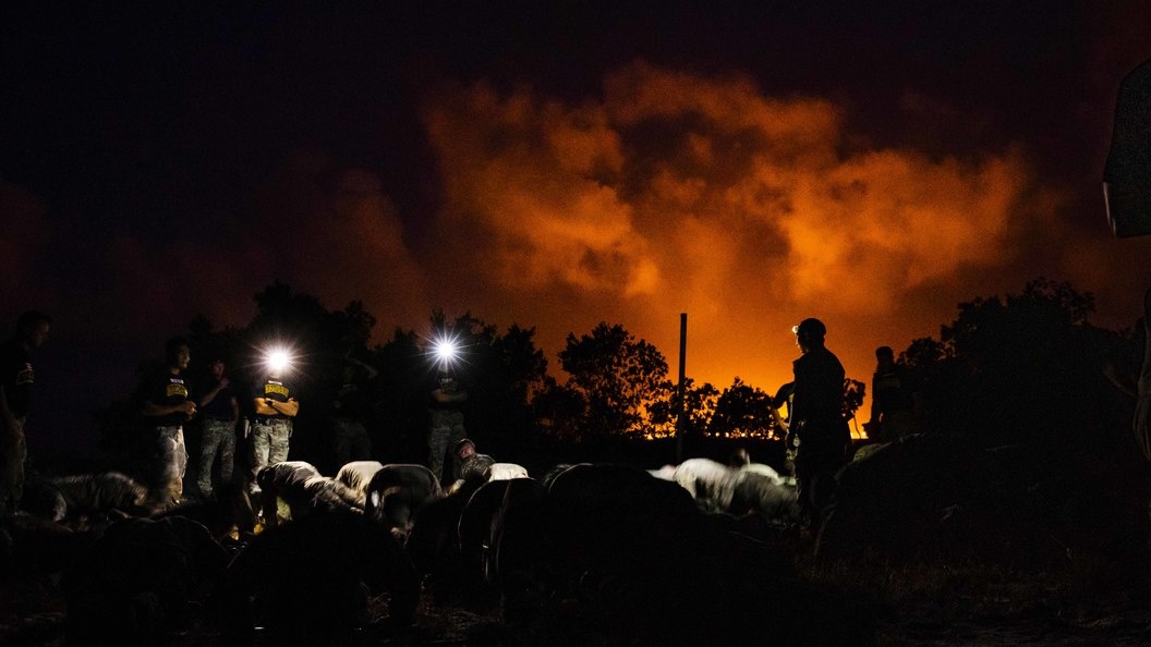    Фото: Juan Barbosa/Keystone Press Agency/Globallookpress