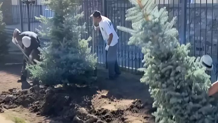    Источник: Мэрия Волгограда