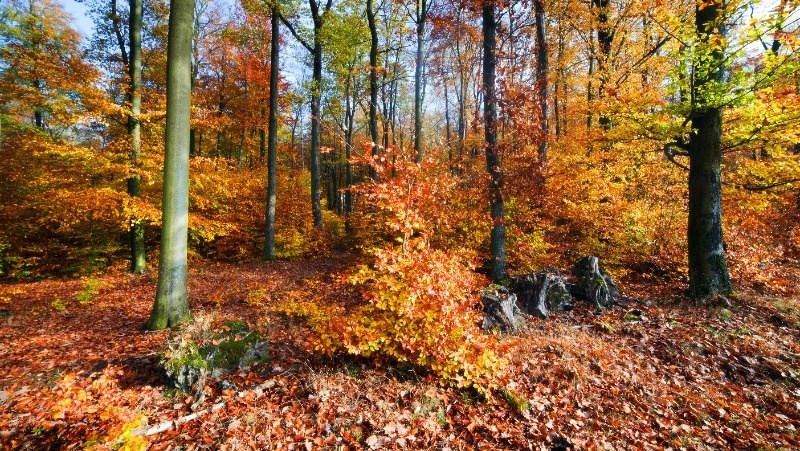 Фото: @bedneyimages / freepik.com