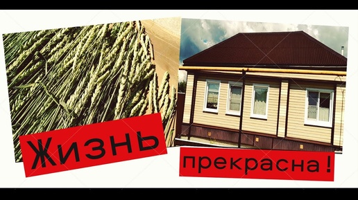 #vlog Новости Болею летом Не все врут #Своимируками #ЕленаСитникова