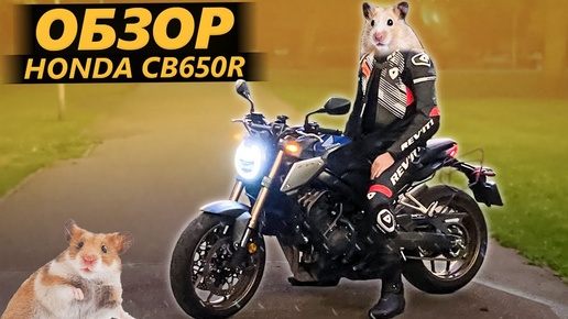 ОБЗОР Honda CB650R. Хомяковоз