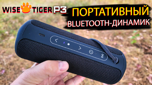 WISETIGER P3: Обзор мощного портативного Bluetooth-динамика для музыки на ходу!