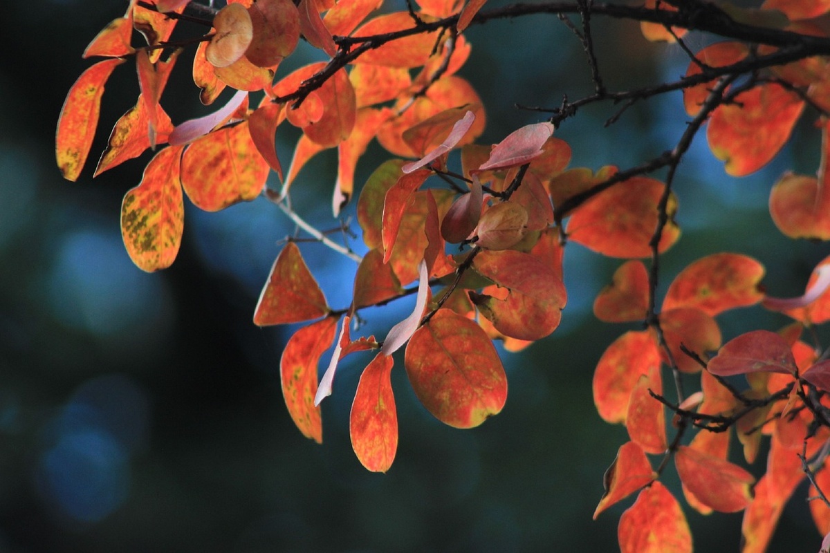 Равноденствие осенью 2024 года - важный астрологический момент