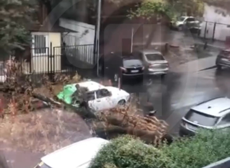    Фото: скриншот из видео (тг-канал «ЧП Сочи»)