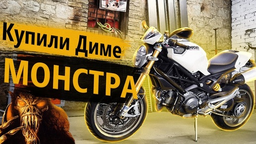 Покупка Ducati Monster 1100S. Настоящий Монстр