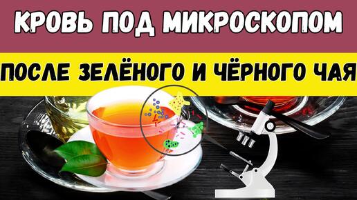 Кровь под микроскопом после черного и зеленого чая