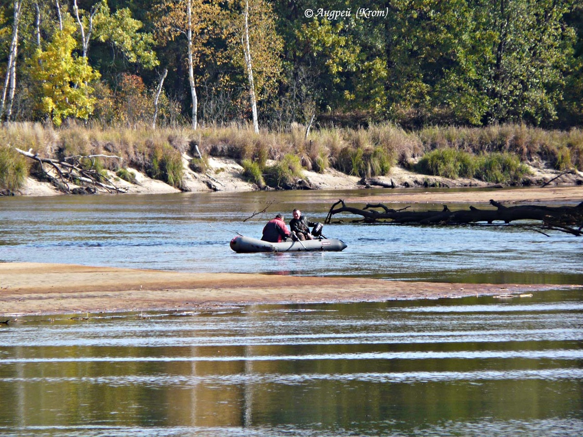 Утро на реке у лагеря