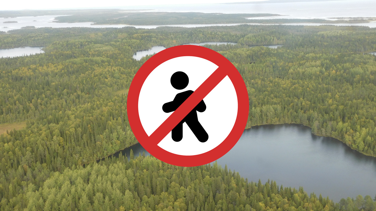 Хорошо осенью в лесу, но вход  туда закрыт.