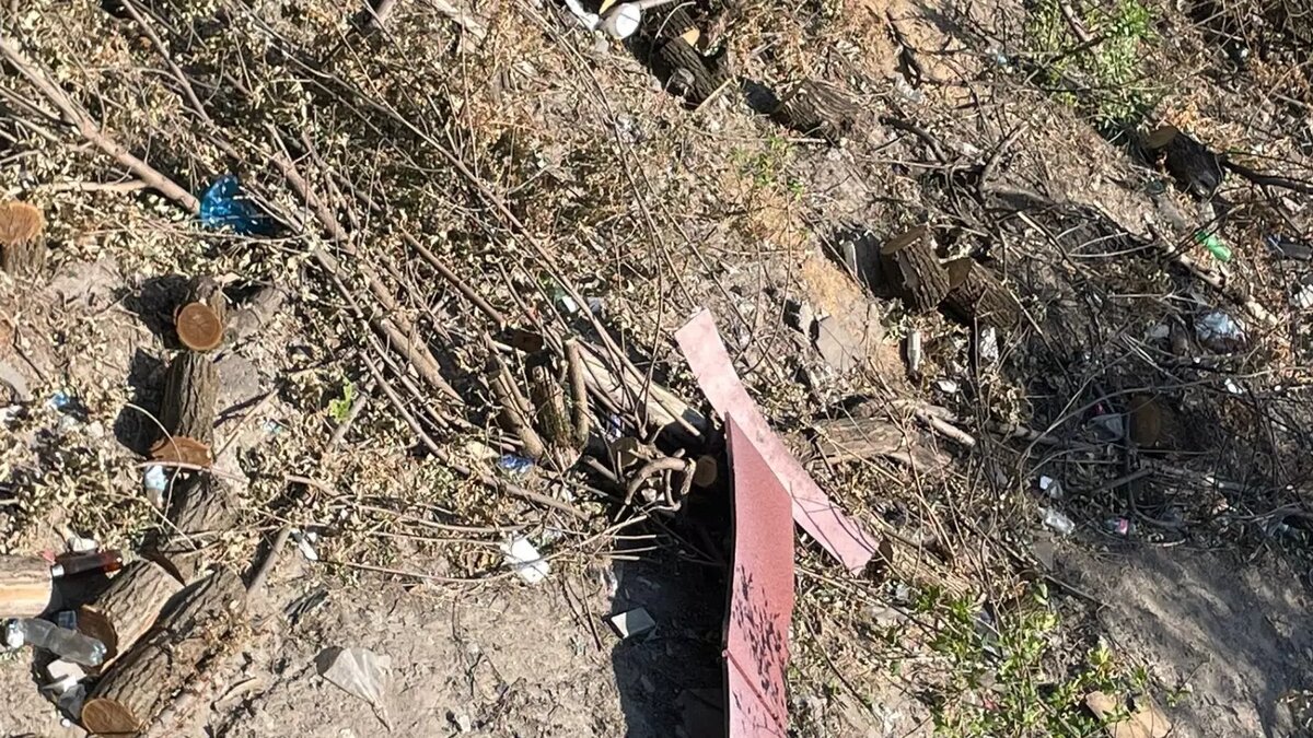     Источник: rostovgazeta.ru