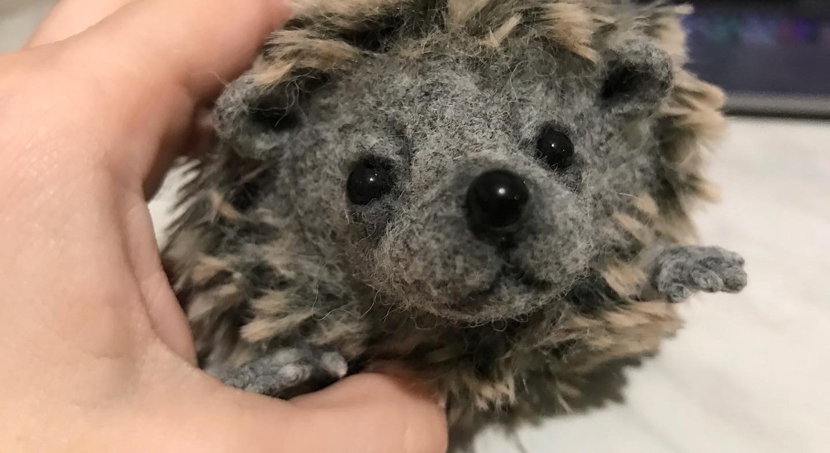 Ежик, которого хотела купить женщина