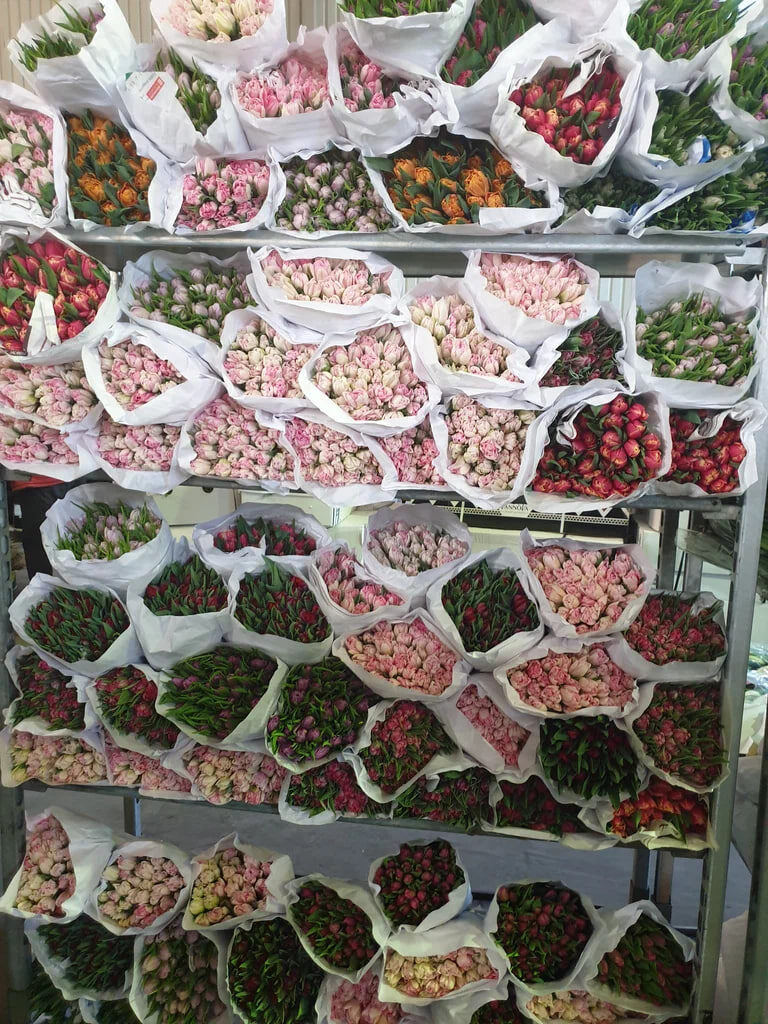 Склад цветов компании https://flowers-legend.ru/ 