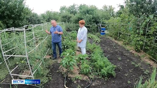 Сезон Забот. Готовим огород к осени с нашей Удобряшей для осени