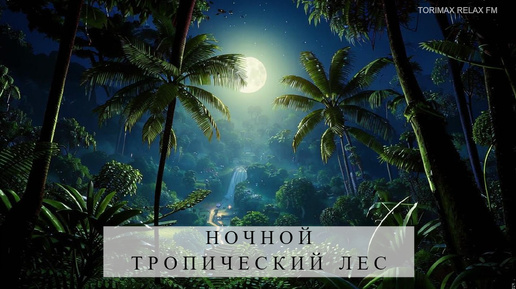 Тропический лес в ночное время | Звуки природы | Расслабляющие звуки для сна