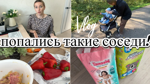 VLOG: Наши СОСЕДИ/Перец в ДУХОВКЕ/Заморозка НА ЗИМУ/Едем РАЗВЛЕКАТЬСЯ